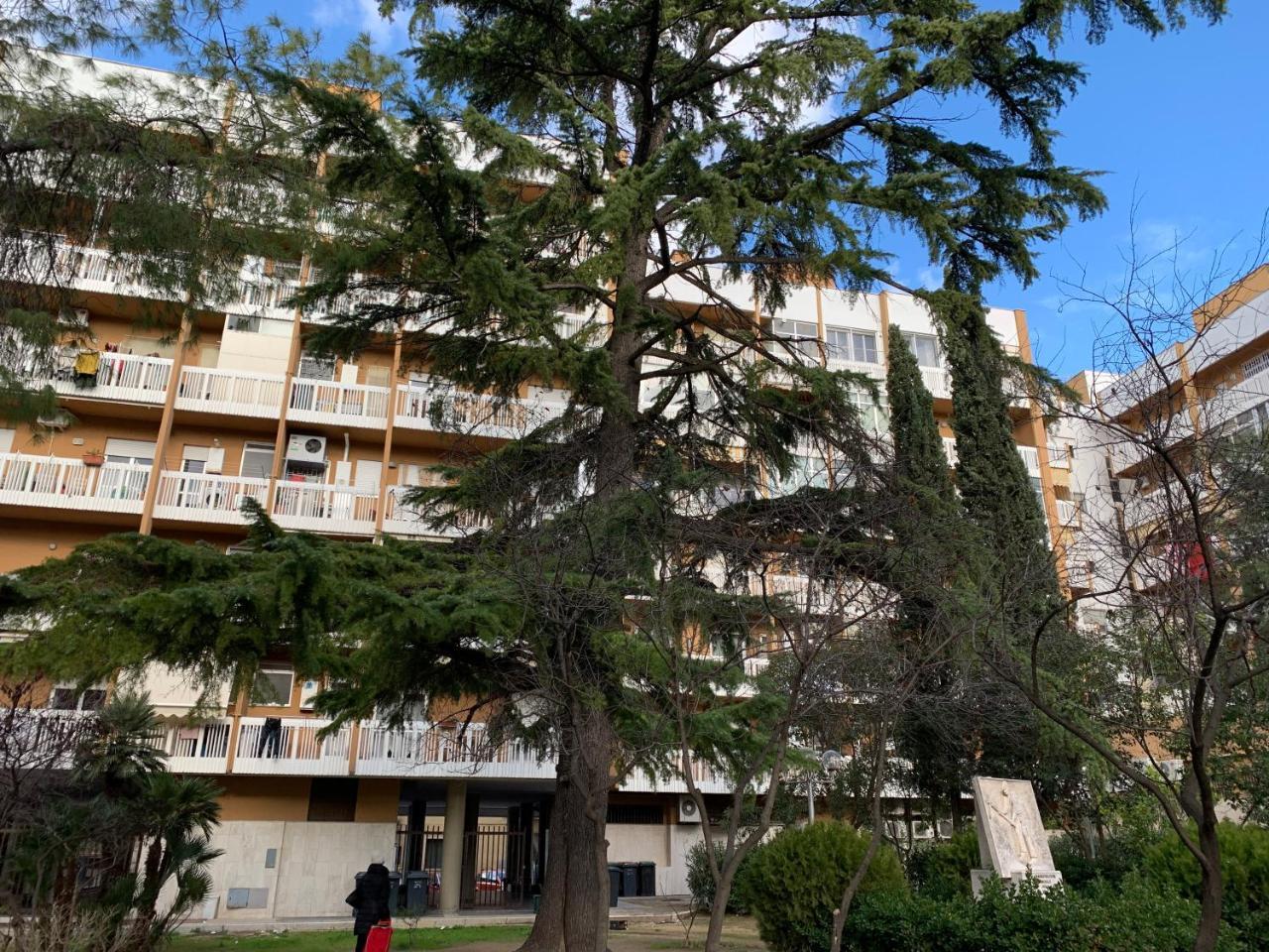 Agora B&B Urban Relais Canosa di Puglia Εξωτερικό φωτογραφία